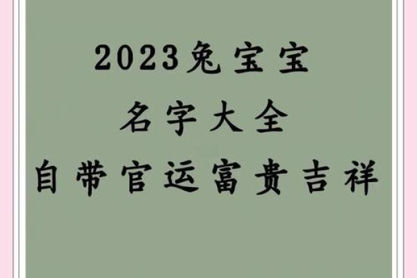 2023兔宝宝取名字大全女孩(2023兔宝宝怎么样)