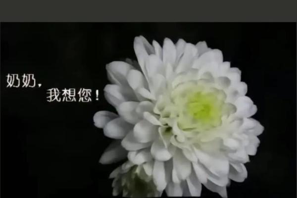 梦见亲人去世(梦见奶奶离世了什么预兆)