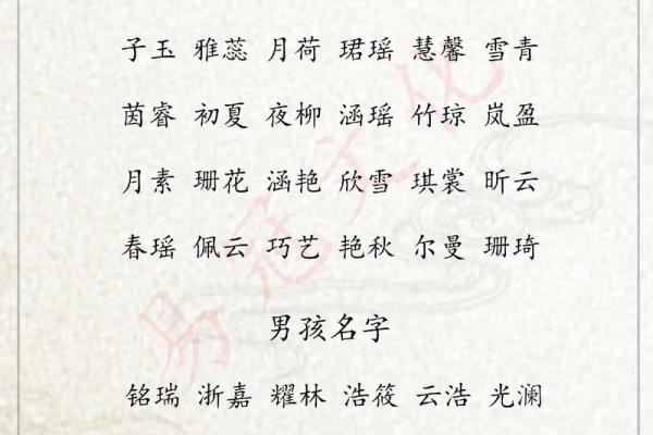 2023年取名字大全男孩(202男孩子名字)