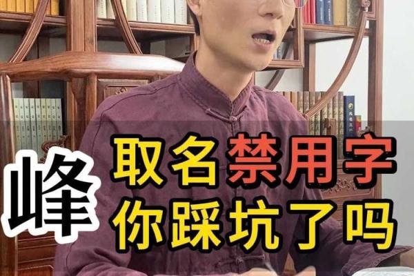 峰字起公司名的寓意(峰字公司起名高端霸气)