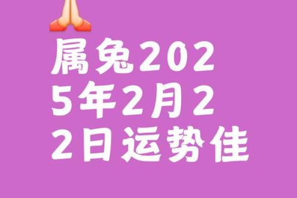 1987年属兔双子座女运势(1987年属兔双子座女运势怎么样)