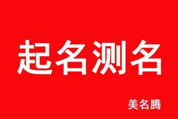 美腾姓名测试打分测试(美腾网姓名测试)