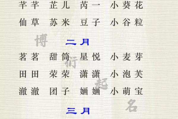 给小孩取名字大全2023女孩免费(给小孩起名字大全免费2022年女孩)