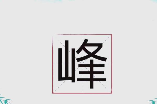 带峰的公司名(带峰字的公司名称,寓意好吗)