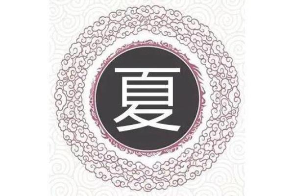 夏姓男孩大气有涵养的名字(夏姓男孩子取名字大全)