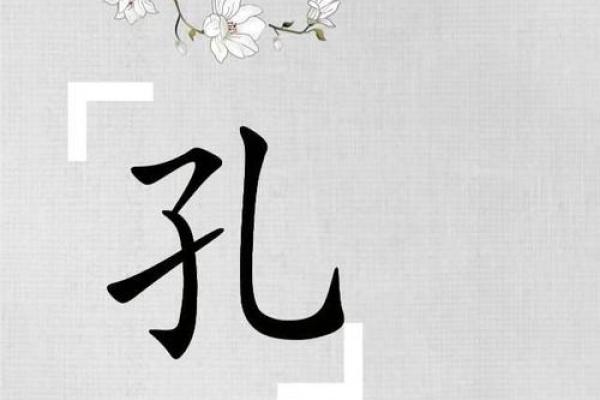 孔名字大全女孩名字(姓孔起名霸气女孩名字)