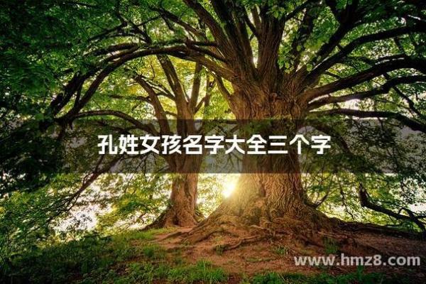 孔名字大全女孩名字(姓孔起名霸气女孩名字)