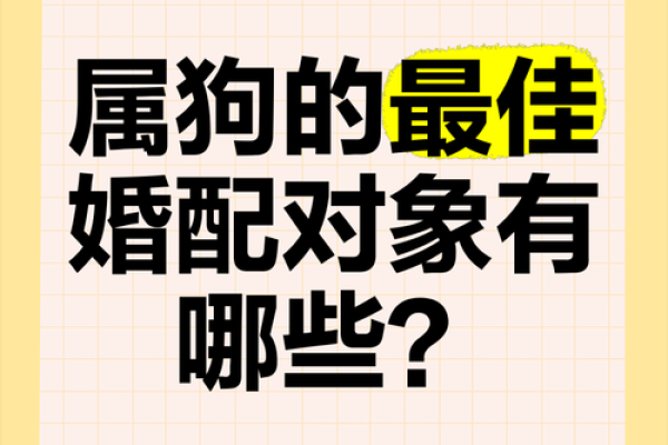 1998年狗鼠结婚吉日(98年属狗的姻缘晚婚) 1998年狗鼠结婚吉日(98年属狗的姻缘晚婚)