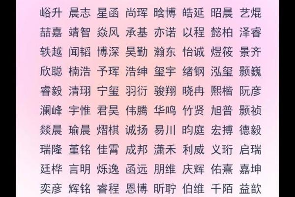 男孩取名字大全免费(男孩取名字大全免费查询一个字)