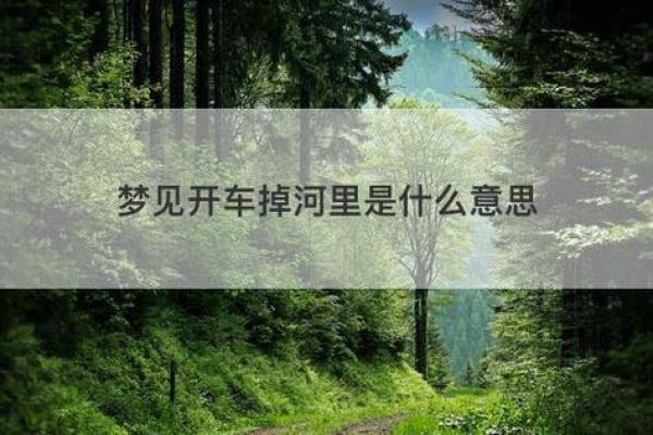 梦见车丢了是什么意思(梦见车丢了是什么意思一直找)