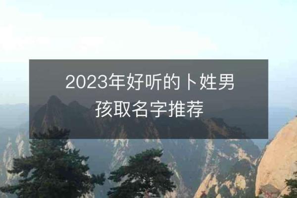 卜姓男孩取名字大全(卜姓男孩取什么名字好)