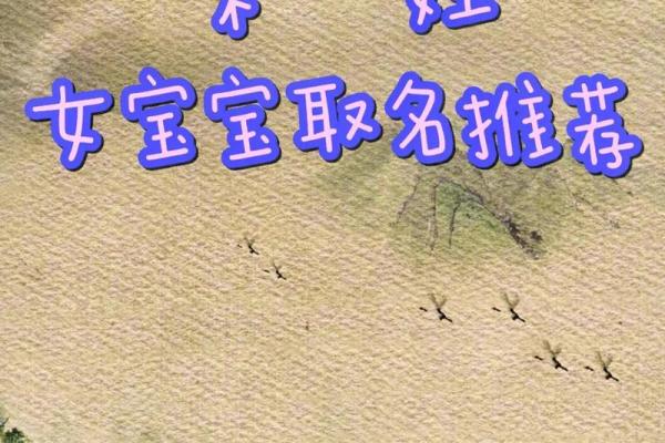 男孩姓宋大气有涵养的名字(男孩子姓宋的名字大全)