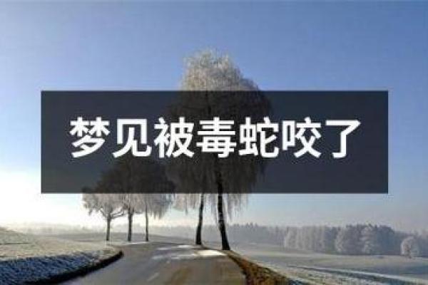 做梦被蛇咬了什么意思 周公解梦(做梦被蛇咬了什么意思 周公解梦女)