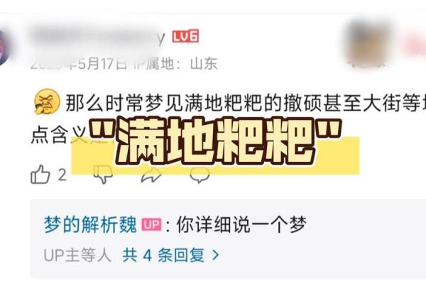 梦到屎(梦到屎尿沾身上什么意思)