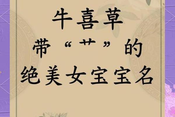 草字头女孩子名字大全(草字头木字旁的女孩名字)
