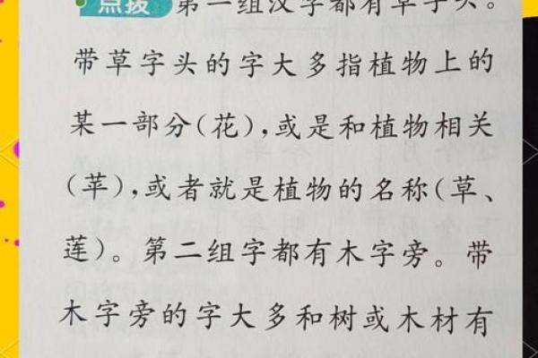 草字头女孩子名字大全(草字头木字旁的女孩名字)