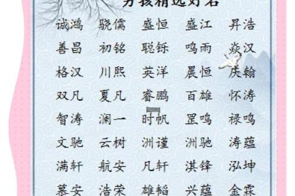 2013年取名字大全男孩(2013年男孩名字什么名字好听)