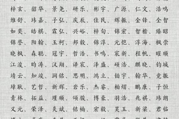 2013年取名字大全男孩(2013年男孩名字什么名字好听)