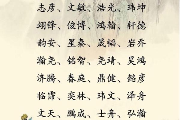 史取名字大全男孩名字(史取名字大全男孩名字怎么取)