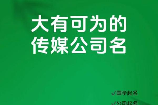小众特色的传媒公司名字(大气的传媒公司名称)