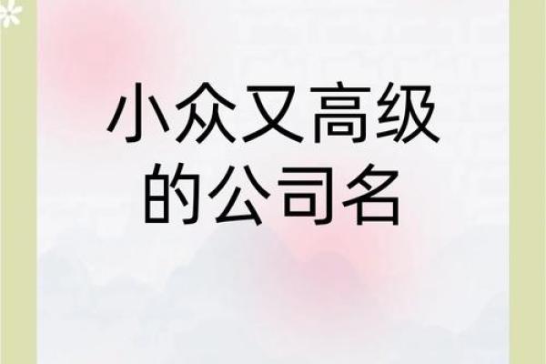 小众特色的传媒公司名字(大气的传媒公司名称)