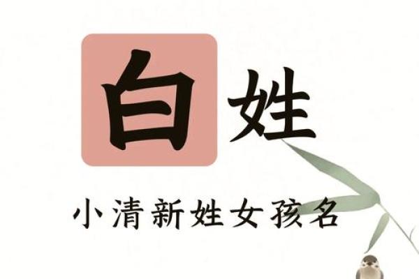 白姓男孩名字大全时尚洋气(白姓男孩名字大全时尚洋气英文)