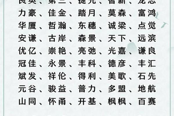 公司名字带强的名字(强什么公司名字好听)