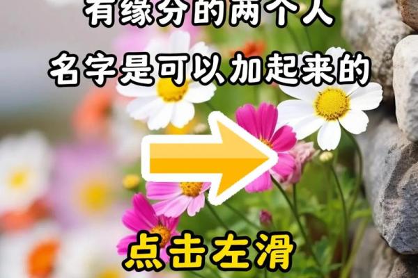 测测你和他的缘分姓名(姓名测试你与他缘分有多深)