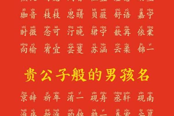 男孩名字寓意稳重大气(男孩名字寓意稳重大气的字属龙)