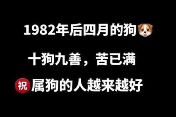 1982年属狗结婚大吉日(1982年属狗婚姻状况)