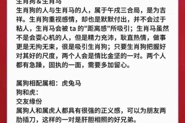 1982年属狗结婚大吉日(1982年属狗婚姻状况)