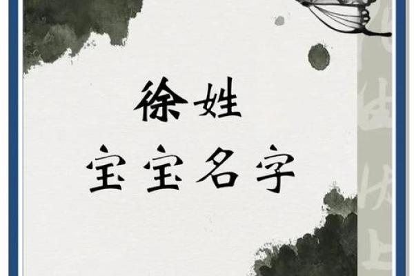 姓徐的女孩名字洋气点三个字(姓徐的女孩名字有诗意)