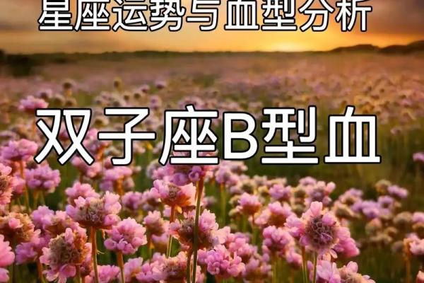 紫微双子座运势(播放双子运势)