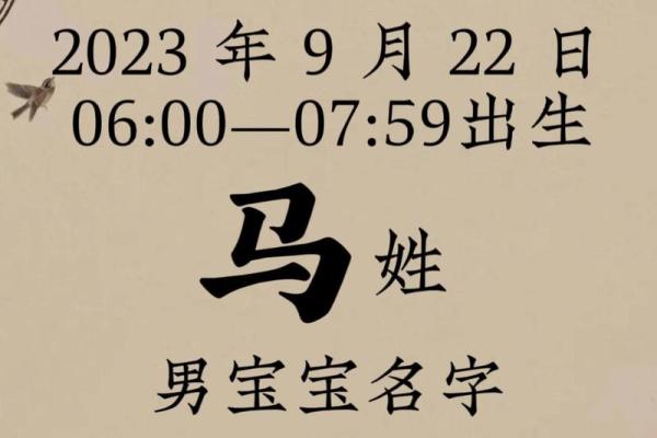 马姓取名字大全女孩(马姓取名大全女孩100分)
