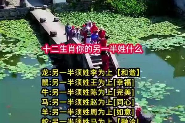 测测你的另一半姓名(测试你的另一半姓什么名字)
