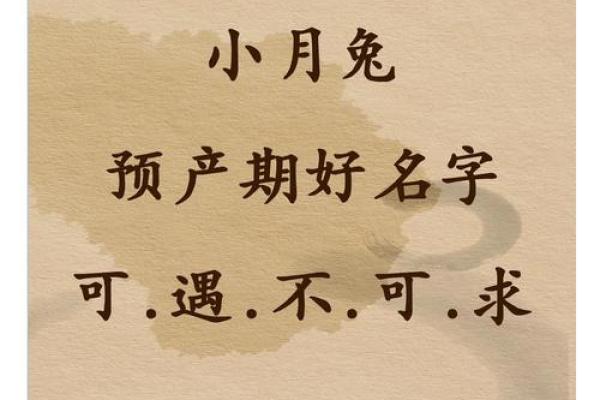好听的兔宝宝名字女孩(好听的兔宝宝名字女孩)