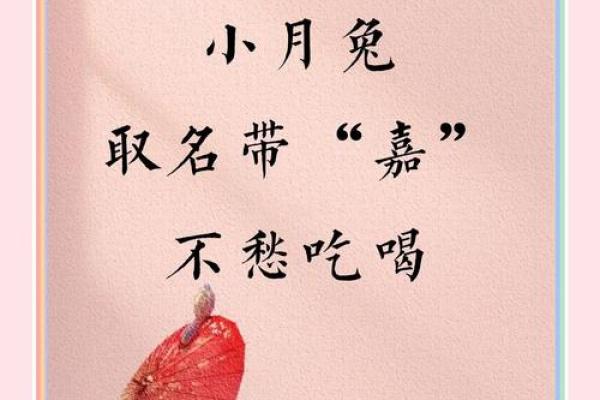 嘉起名字大全女孩(嘉起名适合女孩么免费)
