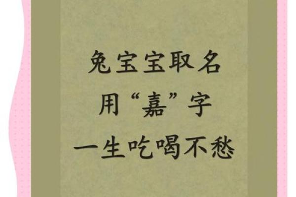 嘉起名字大全女孩(嘉起名适合女孩么免费)