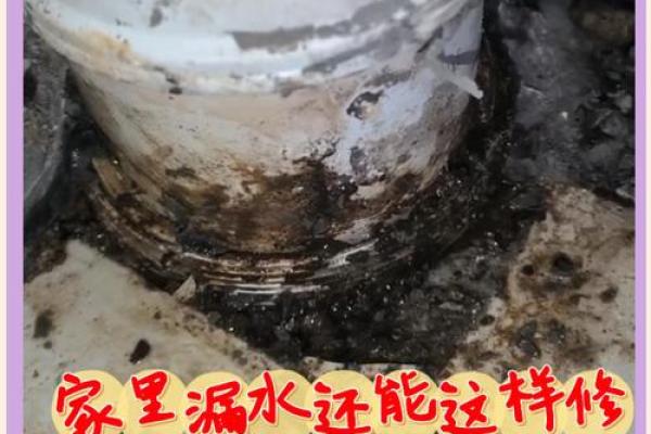梦见家里漏水了是什么征兆(梦见家里漏水了是什么征兆女性解梦)