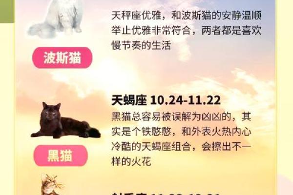 巨蟹座什么最好(巨蟹座应该什么)