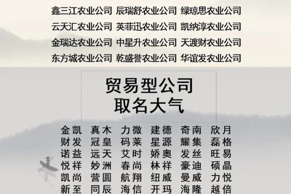 服务行业的公司起名(服务行业公司取名字)
