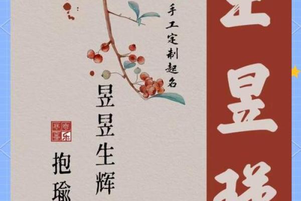 格局大气的男孩名字(大气格局大男孩小名)