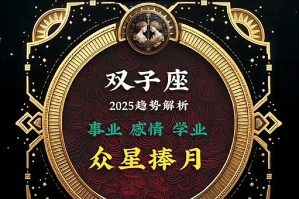 双子座2025年桃花运势(双子座2025年桃花运势如何)