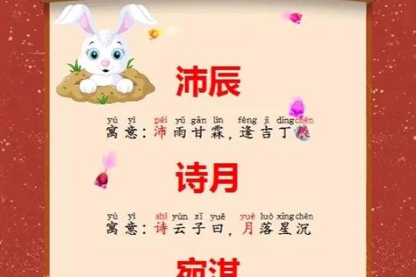 姓夏的兔宝宝女孩名字大全(姓夏女宝宝名字文雅气质)