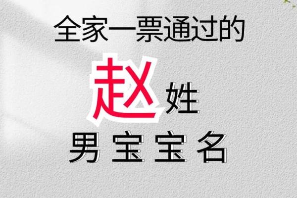 赵姓男孩大气有涵养的名字(赵姓男孩漂亮有涵养的名字)