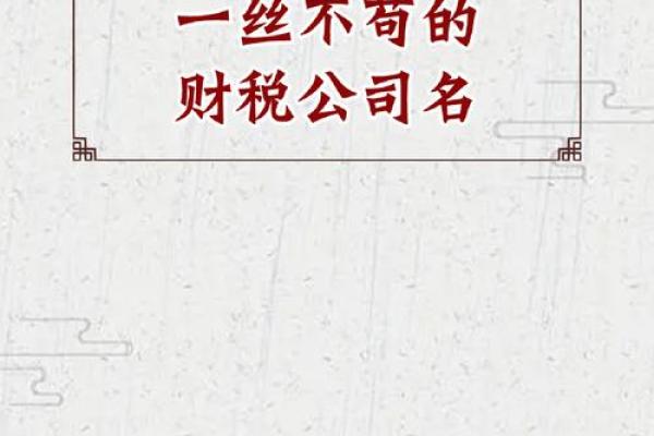财税公司取名字(财税公司取名字参考大全2个字)