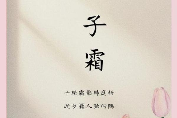 宋词女孩名字大全集大气文雅(宋词好听的女孩名字)