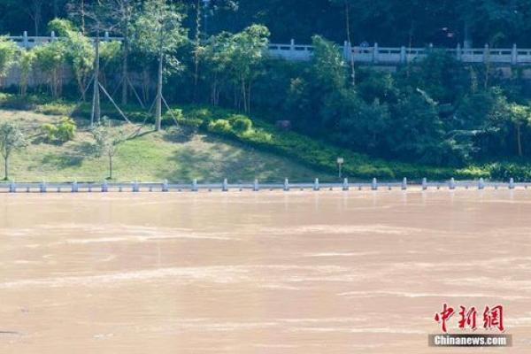 梦到水(梦到水淹了地面)
