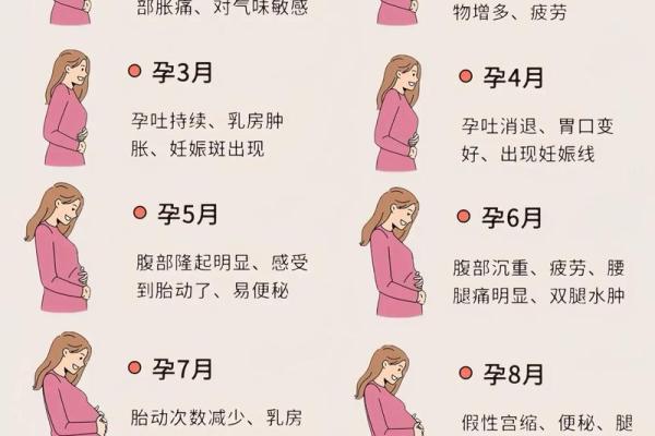 梦到怀孕是什么预兆(梦到怀孕了挺着大肚子是什么意思)