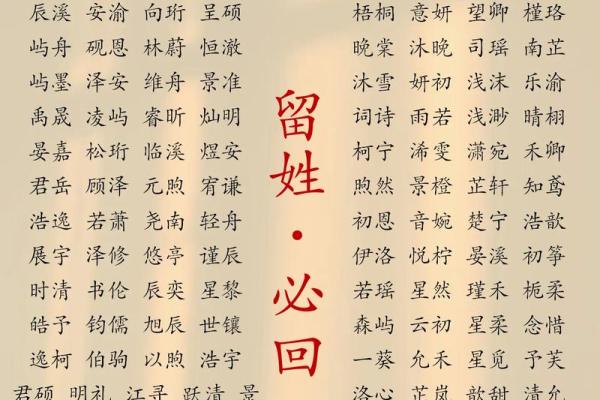 女孩子属木取名字大全(女孩子属木取名字大全集)